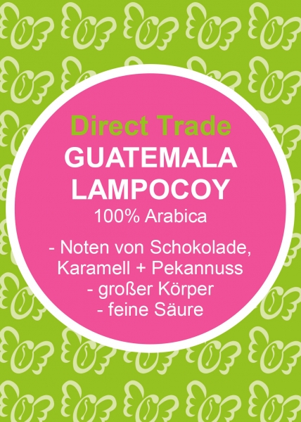 Guatemala LAMPOCOY BIO + FAIR